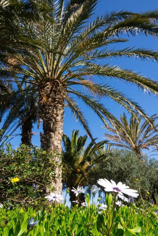 Authentic Cretan Stone Windmill Sitia (Crete) Exterior foto